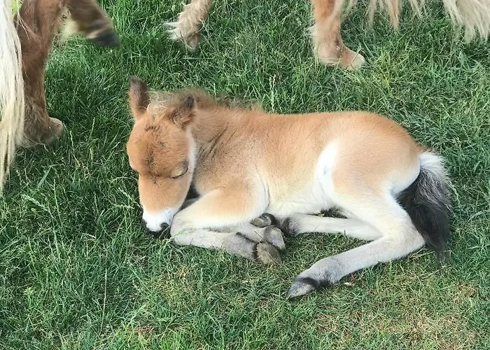 Hotell Bon Garden Silivri