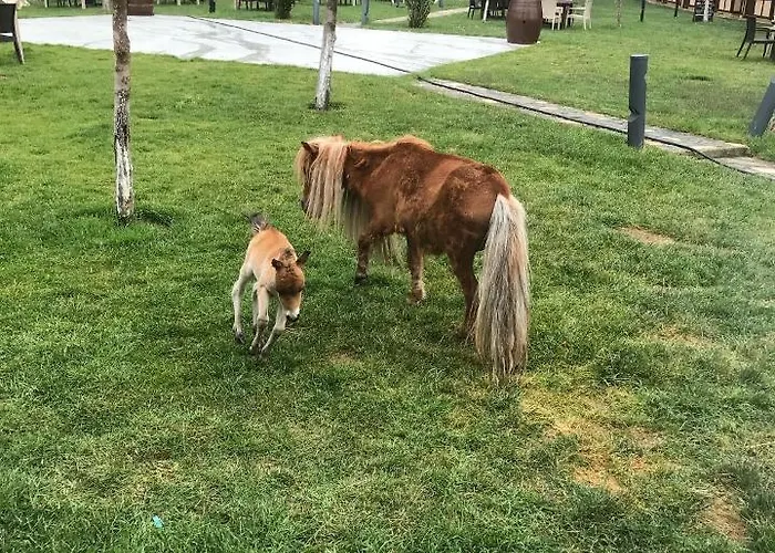 Bon Garden Hotell Silivri