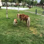 Bon Garden Otel Silivri
